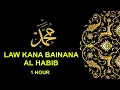 Download Lagu Law Kana Bainana Al Habib [1 hour version] | (Malaysia)