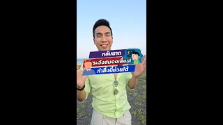 ทำไมการรับแสงแดดตอนเช้าถึงช่วยให้นอนหลับดีขึ้น