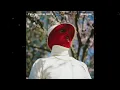 Pale Jay-For James