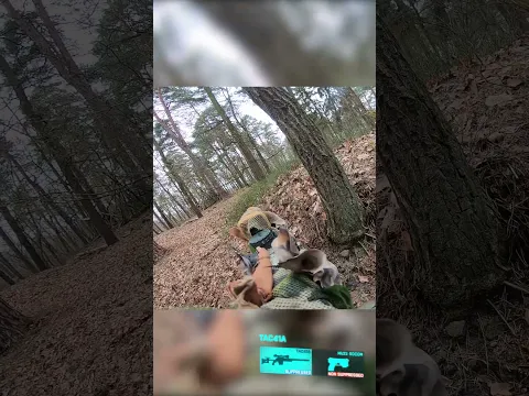 Oddly satisfying headshot 🤌