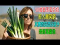 Download Lagu 50歲買葱老奶奶，被人嘲笑窮，其實她是退役殺手，是億萬富翁！比他們富1000倍