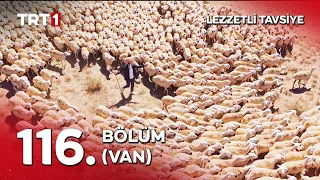 Lezzetli Tavsiye 116. Bölüm