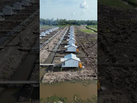 HARI-HARI PERTAMA DI PERMUKIMAN TRANSMIGRASI KALIMANTAN