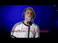 Goodbyes - Post Malone Cover by Nick Pappas