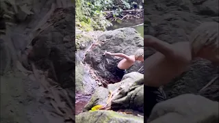 Take the Plunge in This Hidden Forest Pool #sailingfamily #adventure #tobago