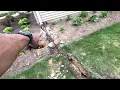 County Line Sub Soiler Tractor Supply Poor Man s French Drain Standing Yard Water Management