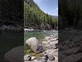 Lagu The Gallatin River: Nature's Breathtaking Beauty 🏞️
