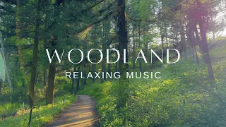 Relaxing Guitar and Piano | Stress Relief Calm | Woodland