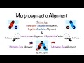 Symmetrical Voice Austronesian Alignment Nom-Accusative Alignment Ergative-Abs Alignment