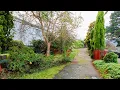 Download Lagu EXTREME Garden Restoration: The BIGGEST Cleanup!