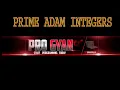 Prime - Adam Integers Practical ISC Practice Paper Solved Question