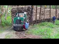 Download Lagu Transporting Million of Tons of Sugarcane With Primitive and Modern Trains