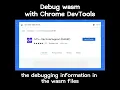 Nice You can debug web assembly in with our extensions