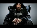 Snoop Dogg ft. Swizz Beatz - Step 🐐 (50 años y sigue mandando en el juego)