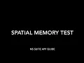 Spatial Memory Test