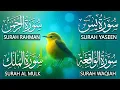 Download Lagu Magical Recitation Surah Yaseen (Yasin) | Surah Rahman | Surah Waqiah | Surah Mulk