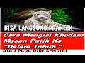 Download Lagu CARA MENGISI KHODAM MACAN PUTIH KE DALAM TUBUH ATAU PADA DIRI SENDIRI