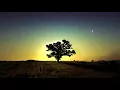 Phaeleh - Should Be True