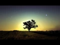 Download Lagu Phaeleh - Should Be True