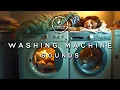 Download Lagu 8 hours of washing machine sound | washing machine asmr, bruit machine a laver and white noise