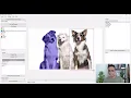 Annotate Images Like a Pro Python Image Annotation Tool Walkthrough