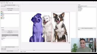 Annotate Images Like a Pro Python Image Annotation Tool Walkthrough