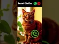 Download Lagu cat calling 😎 #ringtone #smartphone #music #ringtones #song #cat #ringintone #funny