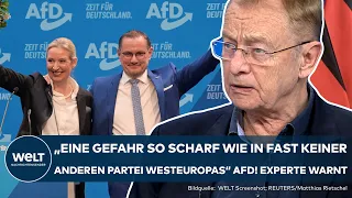 AFD: “Civil war-like unrest” Weidel speech in Riesa - expert warns! The upper hand for Höcke?