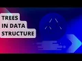 Tree Binary Binary Binary Complete Binary TreeHeap Tree