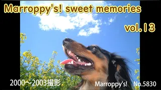 marroppys sweet memories vol 12 4k 