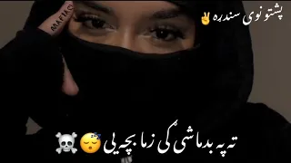 پشتو نوی سندړه ته په بدماشی ګی زما بچه یی زه دی پلاړ یمه 