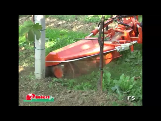 Videostill: Rinieri FS frees