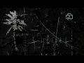Rammstein - Engel Instrumental Cover ft Reina Red (Remastered Live Version)