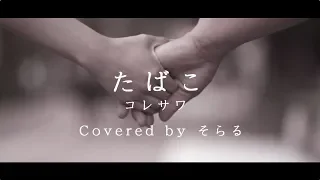 Download Cigarettes (Koresawa) / Soraru【Cover】 MP3