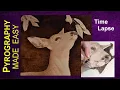 Wood Burning Art - Venison the Deer