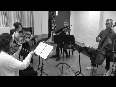 Stockholm Jazz Strings, bild 3