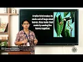 Grade 3 General Science Chapter 4 Class 4 Nests of birds and exercise Part 1