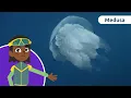 La medusa 👾 Animales para niños 🌊 Episodio 9