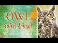 Owl Spirit Animal Owl Totem Power Animal Owl Symbolism Meanings