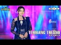 Download Lagu TEMBANG TRESNO - RIA AMELIA [OFFICIAL MUSIC VIDEO] | FULL ALBUM TERBARU 2025