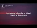 Supermarket Flowers - Ed Sheeran (Lyrics)