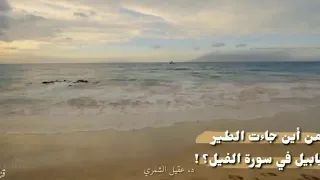 من أين جاءت الطير الأبابيل في سورة الفيل د عقيل الشمري 