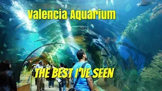Valencia Aquarium.  The best Aquarium I have ever seen.  Ep102