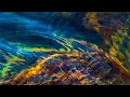 Júníus Meyvant - Neon Experience