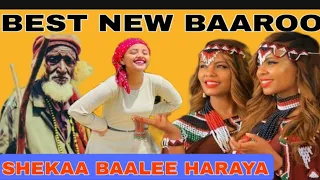 Best New Baaroo Shek Huseen Baalee Sofumar Haccaaluu Hundeesaa Adisuu Furgaasa Eebisaa Addunyaa  Best New Baaroo Shek Huseen Baalee Sofumar Haccaaluu Hundeesaa Adisuu Furgaasa Eebisaa Addunyaa