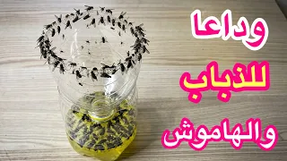 وداعا للذباب والهاموش نهائيا مع الوصفة الفعالة الطبيعية