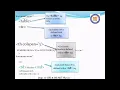 JavaScript to find SQUARES and CUBES VII CS WTL with Mini Project 17CSL77 Program Number 2