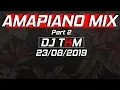 Download Lagu AMAPIANO MIX Part 2 | 23 AUGUST 2019 | DJ TKM 2020