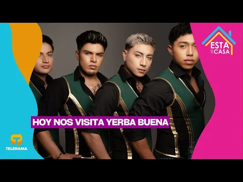 Hoy nos visita Yerba buena