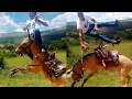 Download Lagu HOJE É DIA DE TOMBO ABEIA BRABA 😁🐝